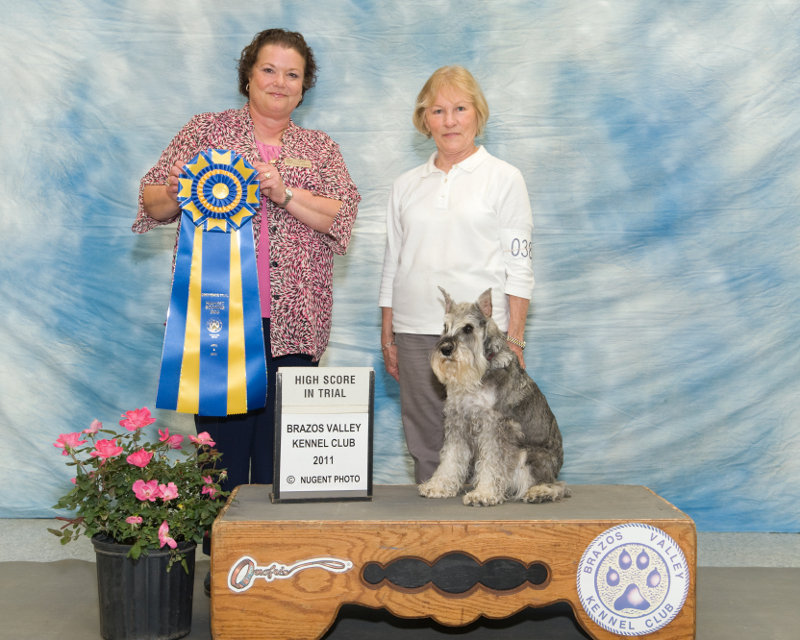 Saturday's High Scoring Dog in Obedience Trial